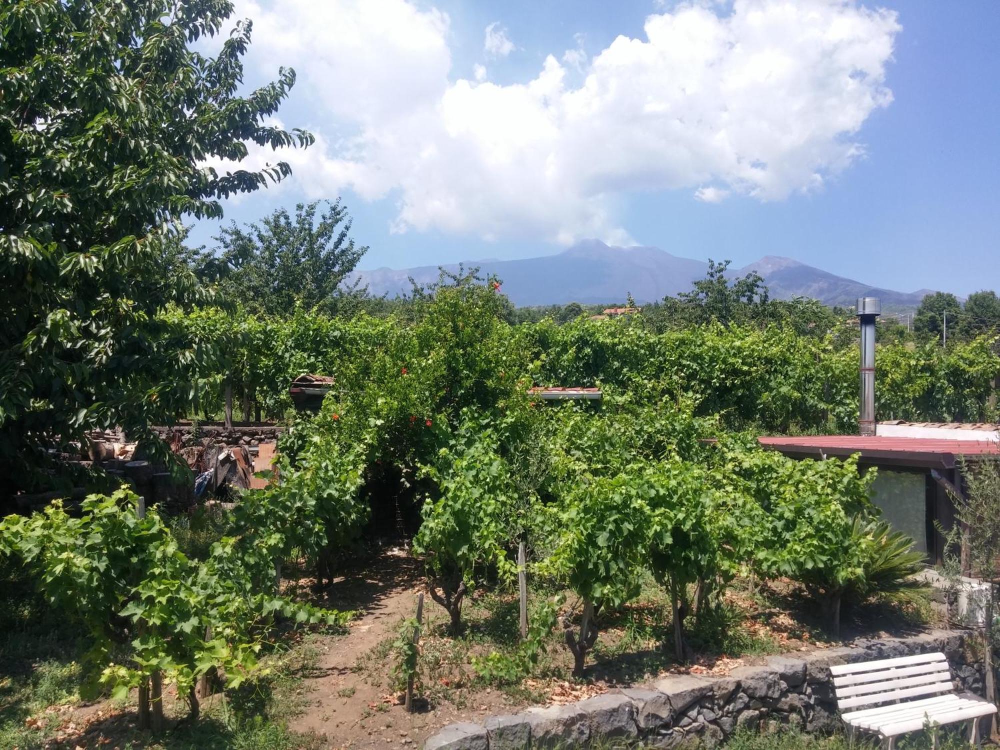 Sorbello Dell'Etna Villa Мило Екстериор снимка