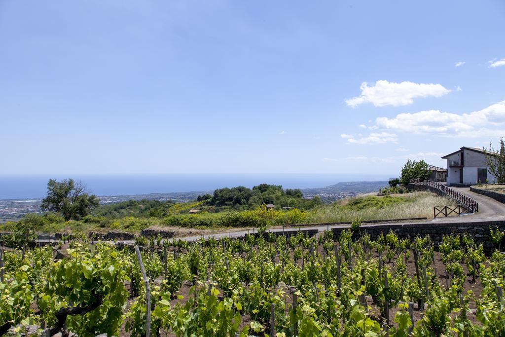 Sorbello Dell'Etna Villa Мило Екстериор снимка